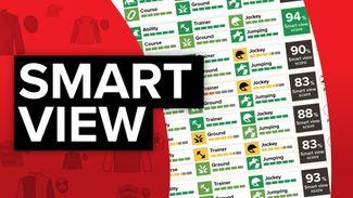 Smart View: find out who comes out top in the Scottish Grand National according to our revolutionary new racecard